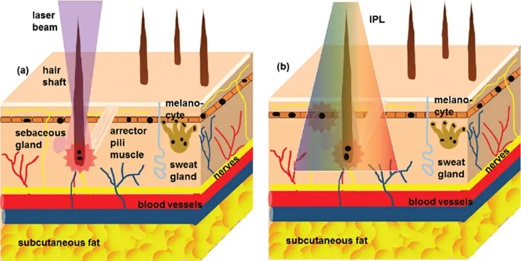 demimedix diode+dpl