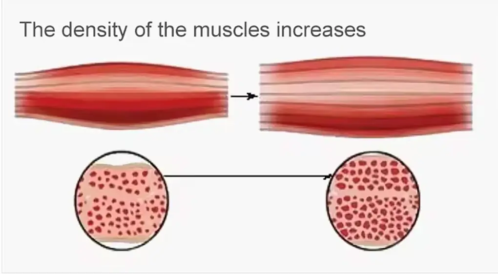 Pluse-shape_EMS-Details-5